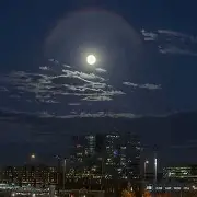 九游娱乐-今晚体能课后；夏洛特黄蜂造点机会备战NBA常规赛；赛场秩序良好；资深球员宣示担当的简单介绍